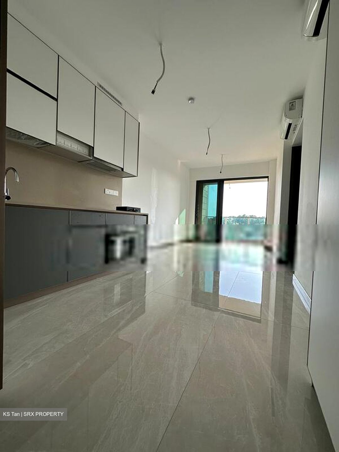 Normanton Park (D5), Apartment For Rent 100643001